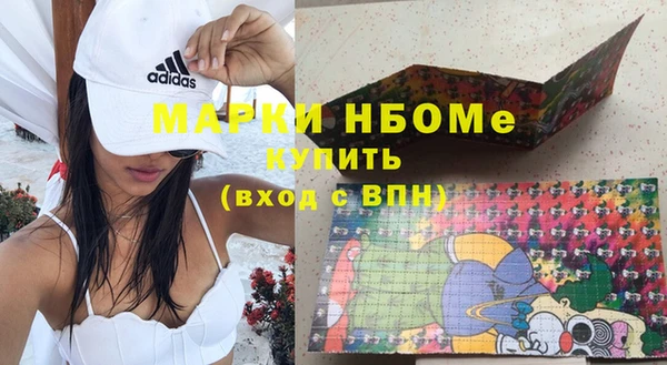 гашик Алексин