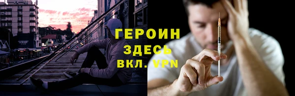 гашик Алексин