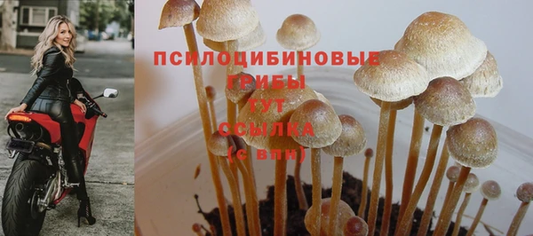 первитин Абаза